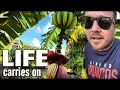 Download Lagu Life carries on OFF-GRID Thailand 🌴