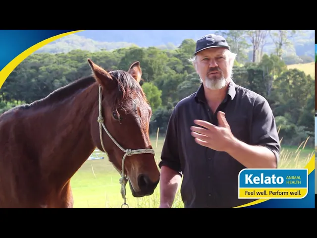 Kelato GastroAID Recovery