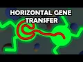 Simulating Horizontal Gene Transfer in Bacteria