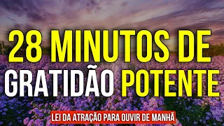 28 MINUTOS DE GRATIDÃO POTENTE