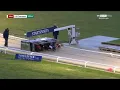 Lennies Eddie wins the 2026 Star Sports Orchestrate Greyhound Derby
