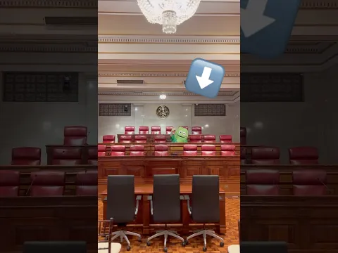 ¡Sr. Sapo para presidente!😎 #funny #youtubeshorts #usa