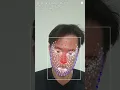 Face Mesh Detection Demo