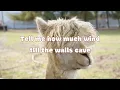 🎤🌧️ Karaoke RAIN IN THE REARVIEW - Anne Wilson