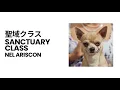CCS108 Prelim Project - Wildlife Sanctuary Management Application