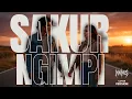 Lagu SAKUR NGIMPI – DARSO (Cover Version by MAIMUS)