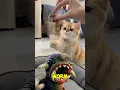 Download Lagu A real-life death worm?! #cat #horror #deathworm