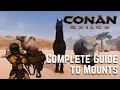 Conan Exiles Mounts Speed Combat Survival Compared