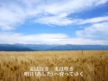 麦の唄　中島　みゆき　【歌詞付き】  Full　『マッサン』主題歌　/ Miyuki Nakajima