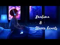 Download Lagu Zaalima x  Stereo Hearts (Hindi x English Mashup) Whatsapp status | anwar
