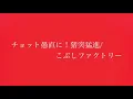 チョット愚直に！猪突猛進/こぶしファクトリー歌ってみた。