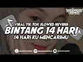 Download Lagu DJ BINTANG 14 HARI || VIRAL TIK TOK SLOWW REVERB