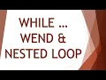 WHILE WEND LOOP NESTED LOOPS Computer ch 3 10th Matric Urdu ES