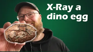 I X-Rayed a Dinosaur Egg… Are There Bones Inside?
