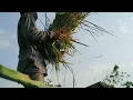 Download Lagu story wa ojo dibanding ke