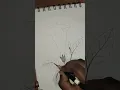 Lagu Visit my channel for full video #drawing #biology