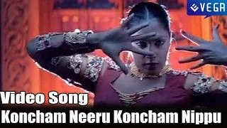 dongadonga movie koncham neeru koncham nippu video song
