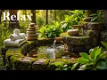 Download Lagu Directe gemoedsrust 🌿 Watergeluiden en ontspannende muziek, angstverlichting