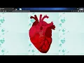 How to Create a Human Heart animation Using Css only