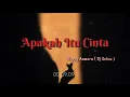 APAKAH ITU CINTA❤️ - HAPPY ASMARA (LIRIK)