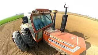                                                                                      دندنها