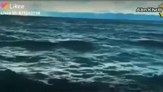 اغنية انا عندي حلم وفي يوم اكيد هقدر وطول ابعد سما باداء مختلف اول مره تسمع هنا وبس 