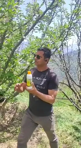 सेब के लिए कौन सी खाद उपयोगी,शिमला के किसान ने क्या बताया | वनइंडिया हिंदी