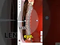 Download Lagu Hoe je oog echt licht ziet (verbluffend)! 😱👁👀 #wetenschap