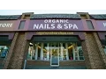 Welcome to ORGANIC NAILS SPA - VA