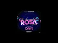 Dayvi - Guaracha Rosa 2 | Guaracha, Aleteo, Zapateo