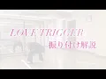 【 振り付け解説 】Snow Man「LOVE TRIGGER」Dance Practice フル