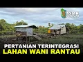 Download Lagu PAK SUDIWANI, PERANTAU ASAL BATU WUJUDKAN INTEGRATED FARMING DI PERMUKIMAN TRANSMIGRASI KALIMANTAN
