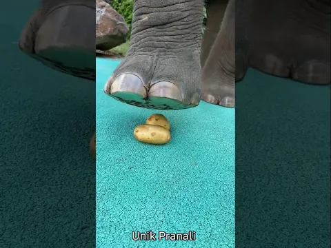 😱हाथी और मालिक का झगड़ा हो गया🤯 ~mini wood toy-wood working art skill #shortvideo #trending #shorts