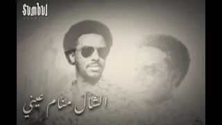                                   مازن حامد   الشال منام عيني دندنها