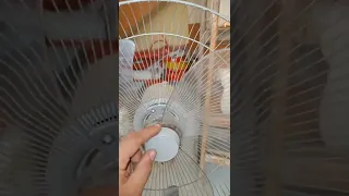 حل مشكلة رفة ريشة المروحة العمود او الاستاند دندنها