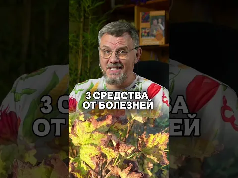 Всего 3 средства и растения болеть не будут #дачныйагроном #рекомендуем