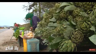 bila kinaa أشهر إمرأة في بنزرت كيف تغلبت على زوجها وكيف تقتات من الطرقات؟
