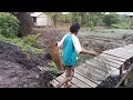 PAK WANI MENANG BANYAK! HASIL DUA JENIS BUBU PARIT LAHAN RAWA KALIMANTAN! LANGSUNG DILEPAS DI KOLAM?