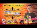 Download Lagu Tarling \u0026 Tendung Modern NYELEWENG Voc. Edy Coros Team Palar
