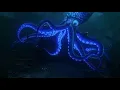 Finding dory giant squid scene with the prowler theme song