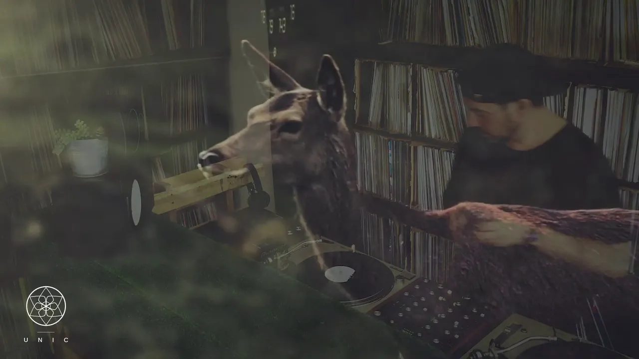 Vinyl Sessions 007 ~ Halo Varga