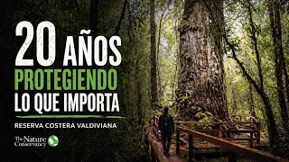 Reserva Costera Valdiviana