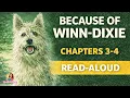 Because of Winn-Dixie Read Aloud Chapters 3 4 Kate DiCamillo 4th 5th Grade Novel Study