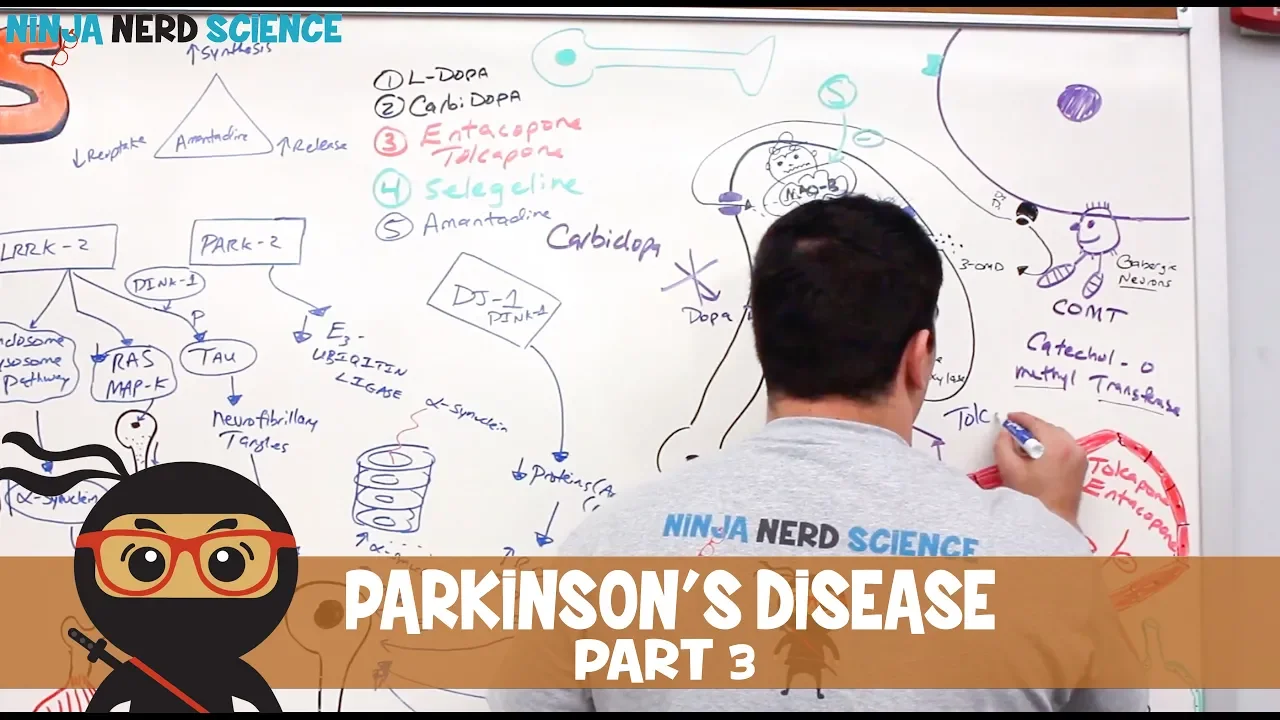 Parkinson's Disease | Pharmacological Treatments | Part 3