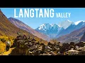 Lagu Journey to Langtang Valley | Himalayan Trekking Experience