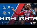 94TH MINUTE WINNER Crystal Palace 2-1 Newcastle United Premier League Highlights