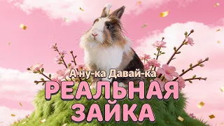 А ну-ка Давай-ка: РЕАЛЬНАЯ ЗАЙКА 🐰  Премьера Клипа