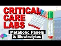 Metabolic Panels and Electrolytes - BMP vs CMP