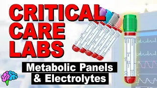 Metabolic Panels and Electrolytes - BMP vs CMP