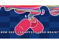 What Does LSD Do To Your Brain Earth Science